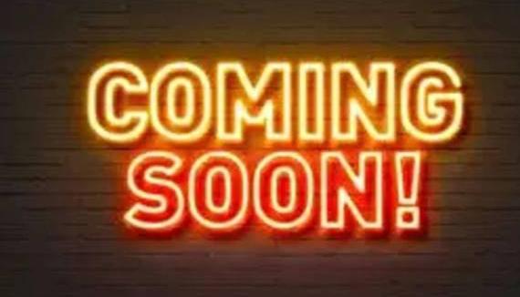 LAND ROVER RANGE ROVER SPORT 2020 SALWR2SU6LA886392 image